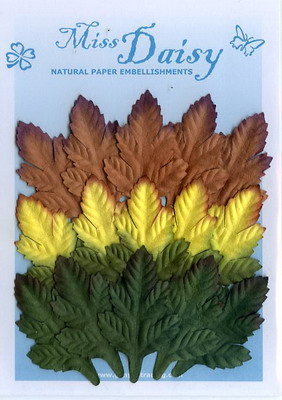 Set of 15 oak leaves 3 cols