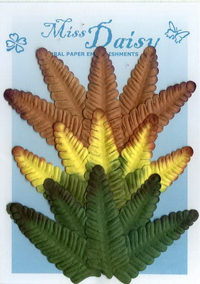 Set of 15 fern leaves 3 col