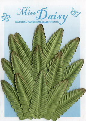 Set of 15 fern leaves