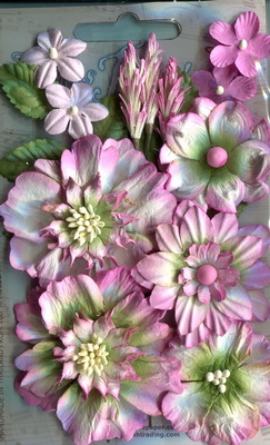 English Garden 1 Flower Sets , blush