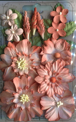 English Garden 1 Flower Sets , living coral