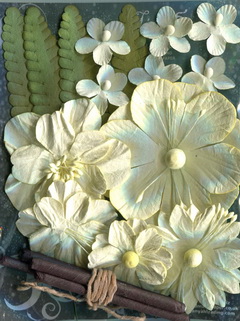 English Garden 1 Flower Sets , cream