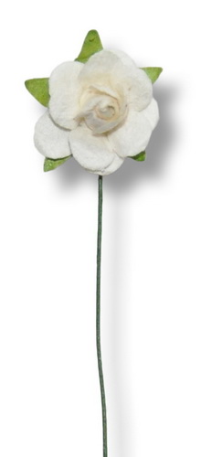 SMALL STEMMED ROSE 15x50mm  open
