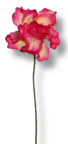 SMALL STEMMED ROSE 25x60mm  open