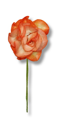 STEMMED ROSE  30x50mm  open