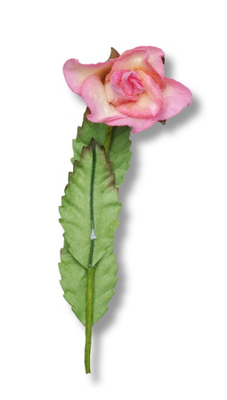 STEMMED ROSE 25x80mm  open