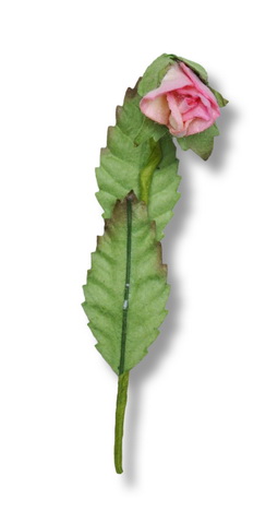 STEMMED ROSE 16x60mm  closed