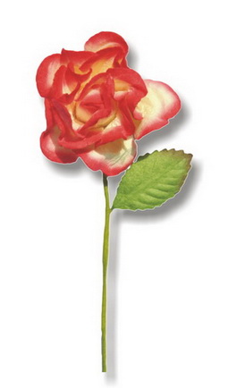 STEMMED ROSE  30x60mm open