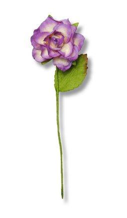 STEMMED ROSE 22x70mm  open