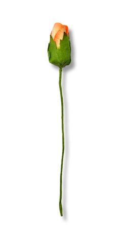 STEMMED ROSE  15x60mm  closed