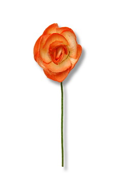 STEMMED ROSE  35x60mm  open