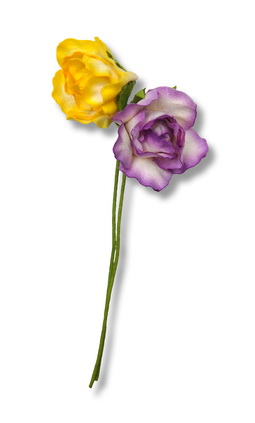 STEMMED ROSE  35x80mm  open