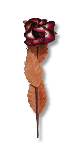 STEMMED ROSE  25x60mm  open