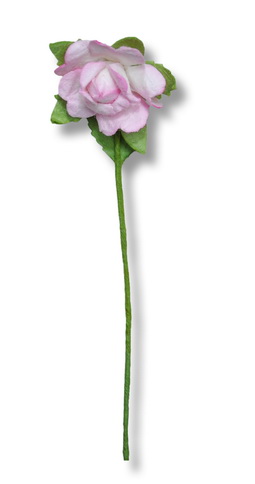 STEMMED ROSE  25x60mm  open