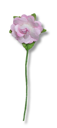 STEMMED ROSE  30x60mm  open