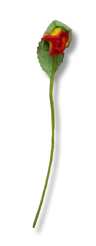 STEMMED ROSE  14x60mm  closed