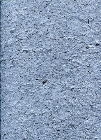 Buffalo Gras paper sheet  Atlantic blue