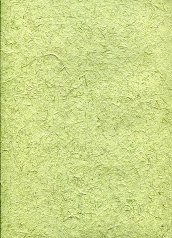 Buffalo Gras paper sheet  Grass green