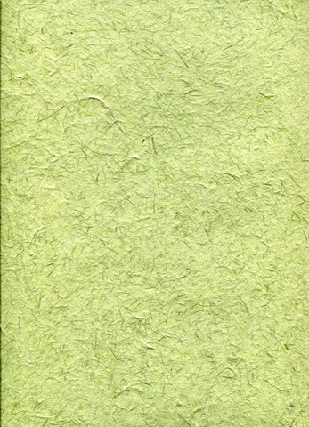 Buffalo Gras paper sheet  Grass green