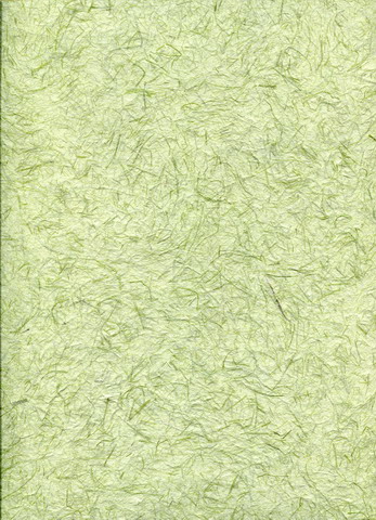 Buffalo Gras paper sheet  Hay green