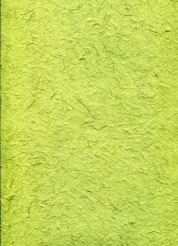 Buffalo Gras paper sheet  Kiwi green