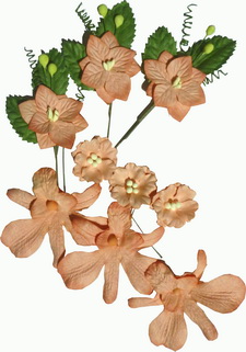 Orchid delight set,flowers, leaves and sprigs, coral