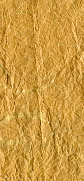 MOMEGAMI CRUSH PAPER mustard