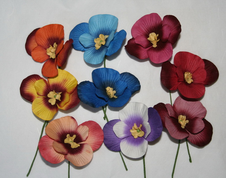 Pansies in a variety of colours